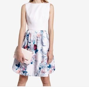 Ted Baker Nude Acanthus Scroll Dress